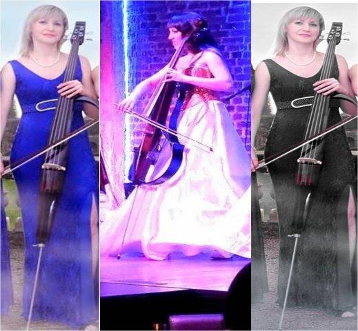 cello artists amritsar