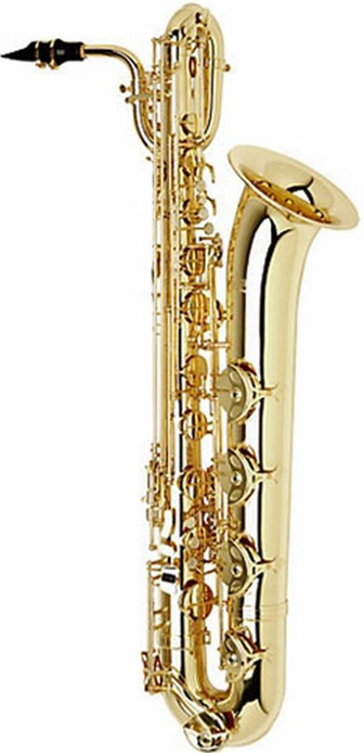 good saxophone on rent amritsar