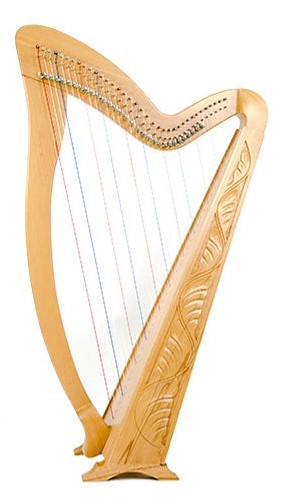 best harp on rent amritsar