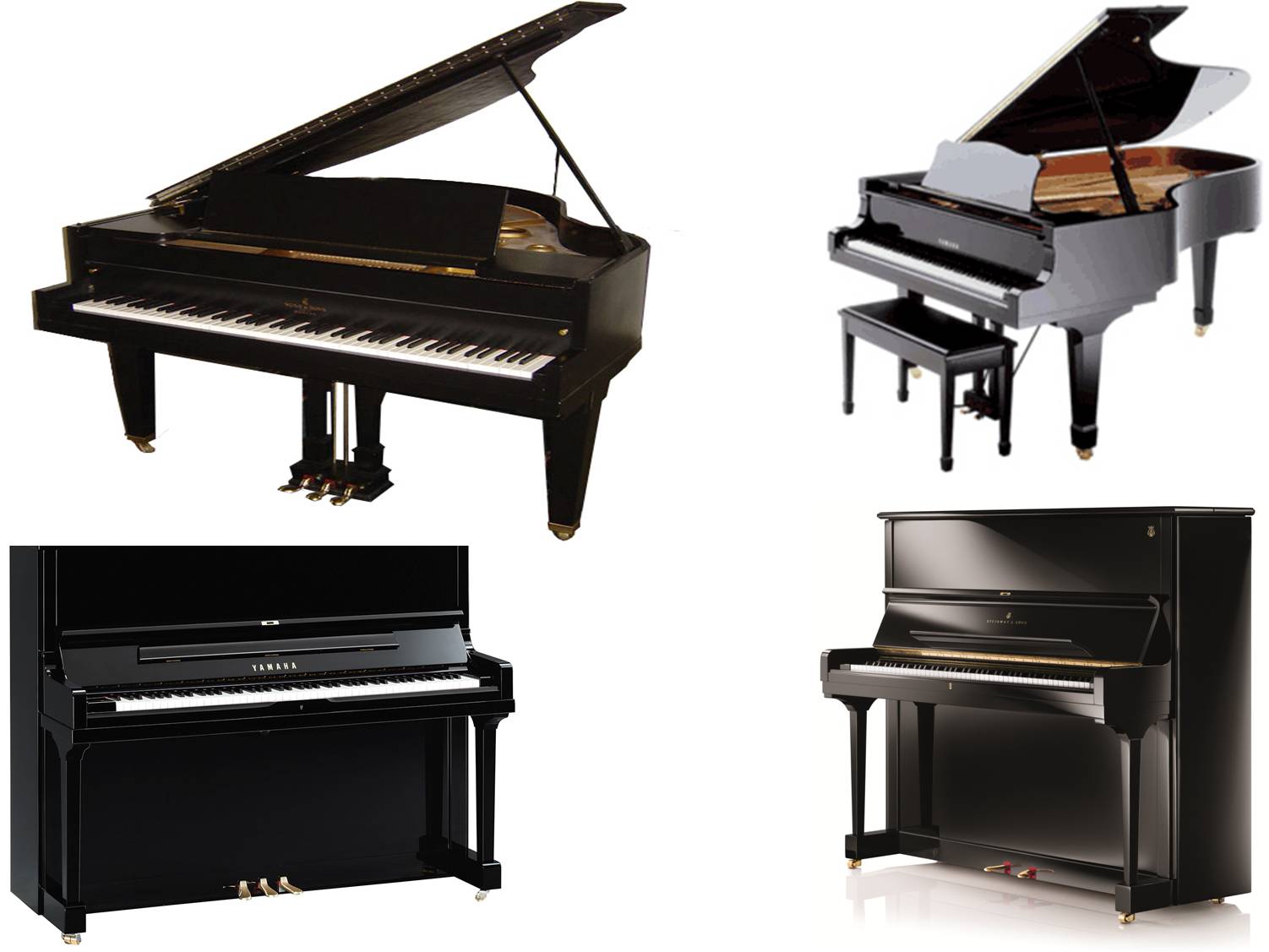 Grand Piano on rent in Amritsar